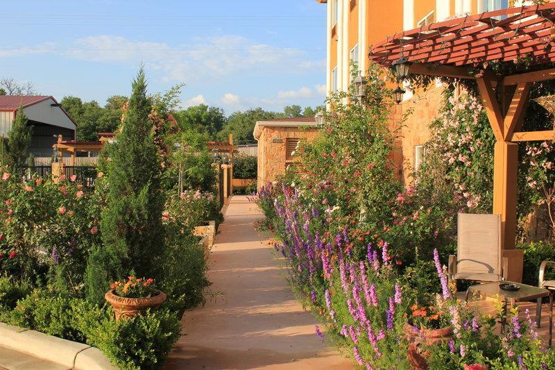 Blanco Luxury Inn & Suites image