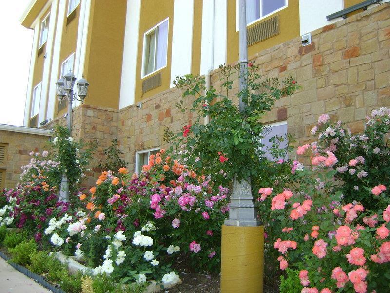 Blanco Luxury Inn & Suites image