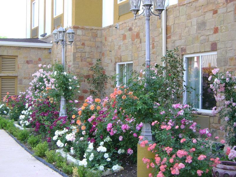 Blanco Luxury Inn & Suites image