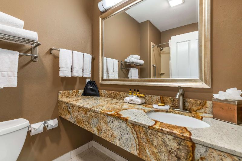 Best Western Plus Lytle Inn & Suites image