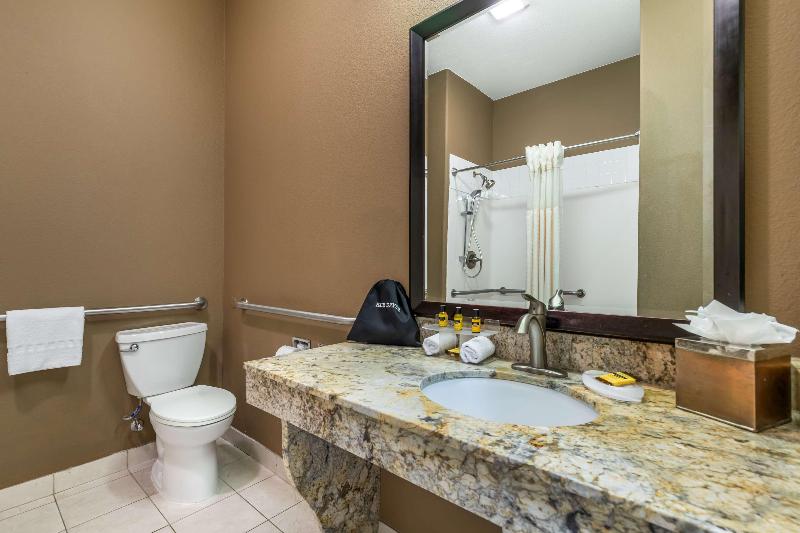 Best Western Plus Lytle Inn & Suites image