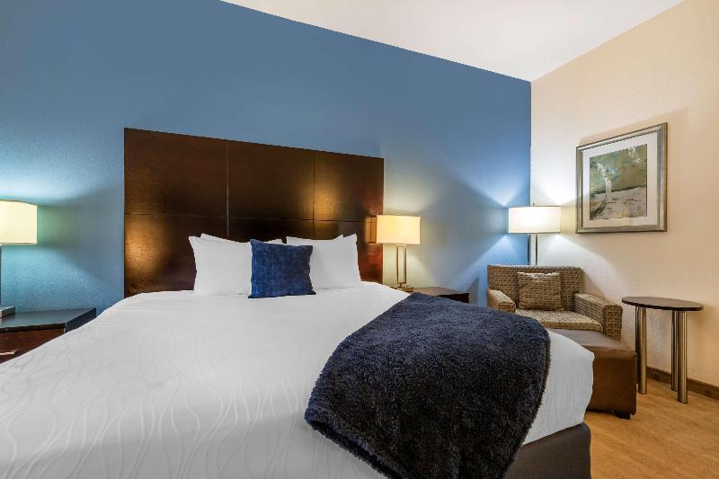 Best Western Plus Lytle Inn & Suites image