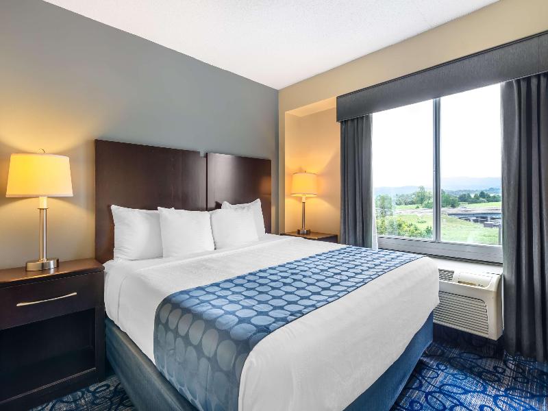 Bw Plus Waynesboro Inn & Suites Conference Center image