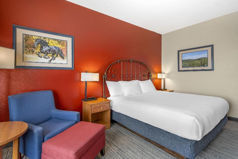 Best Western Bronco Inn image