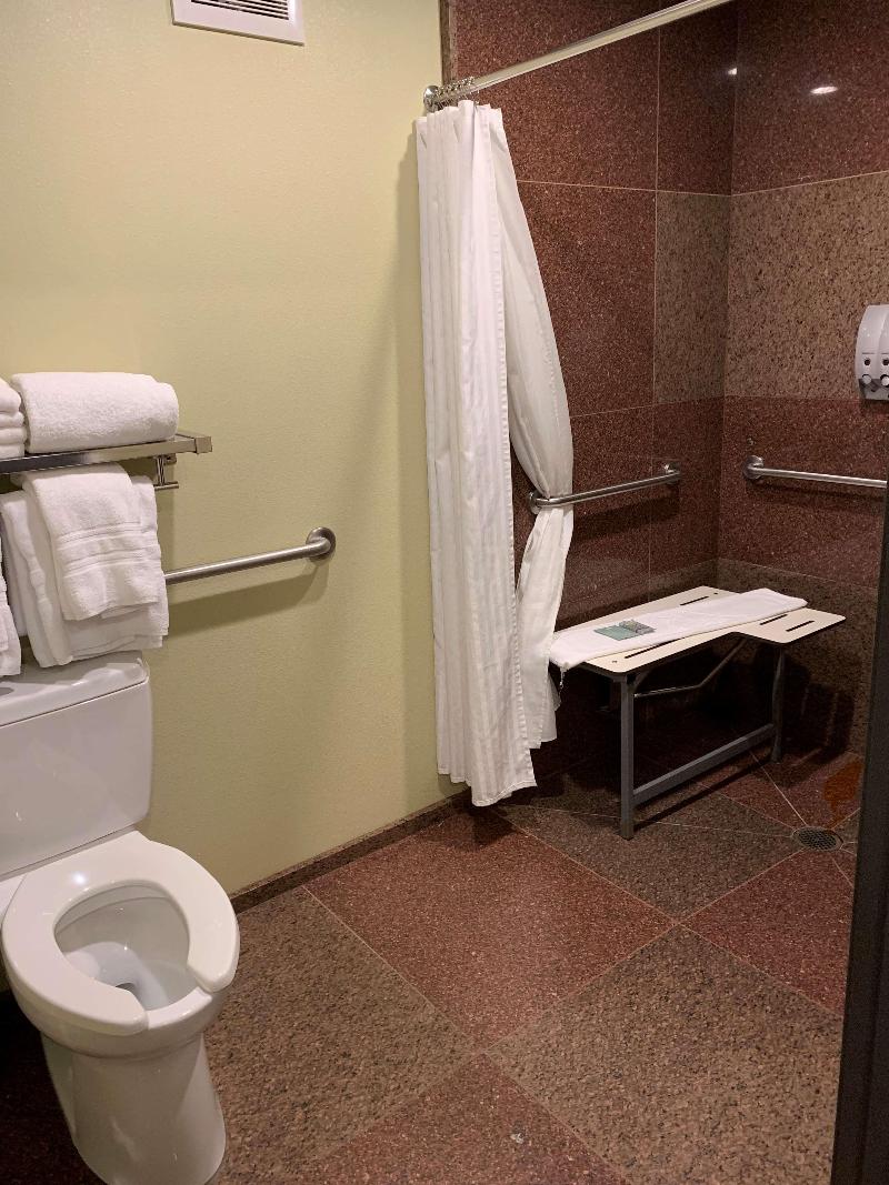 Best Western Snowcap Lodge image