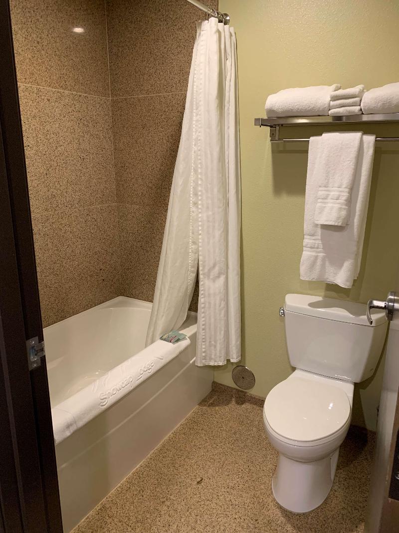Best Western Snowcap Lodge image