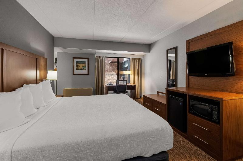 Best Western Bridgeview Hotel image
