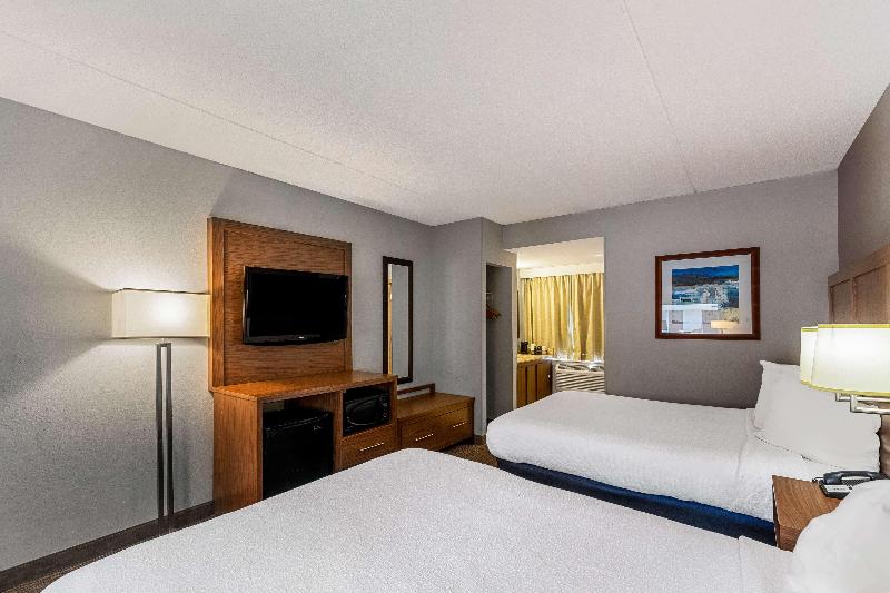 Best Western Bridgeview Hotel image
