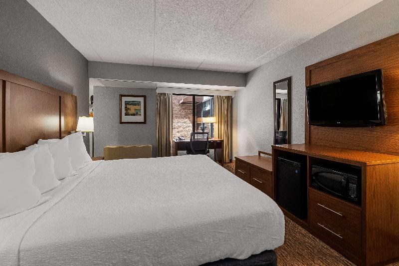 Best Western Bridgeview Hotel image