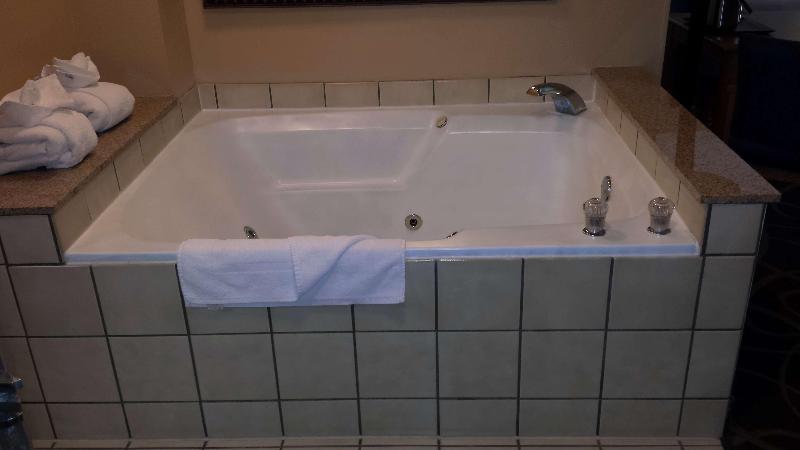 Quality Inn & Suites Black River Falls I-94 photo 19