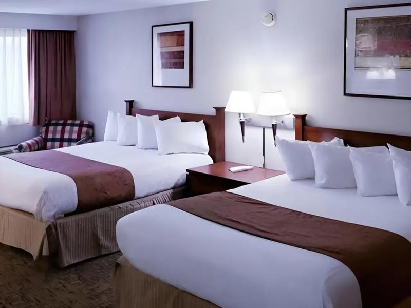 Quality Inn & Suites Black River Falls I-94 image