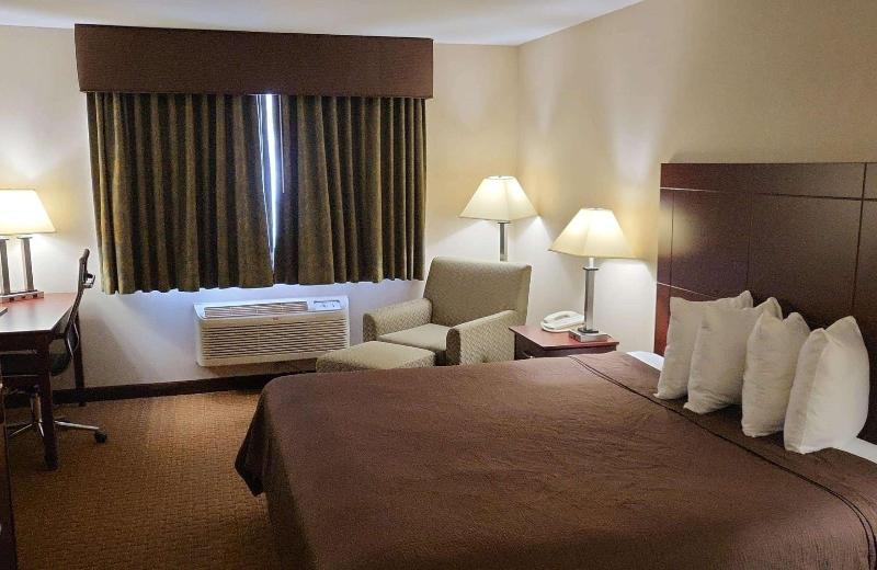 Best Western Wittenberg Inn image