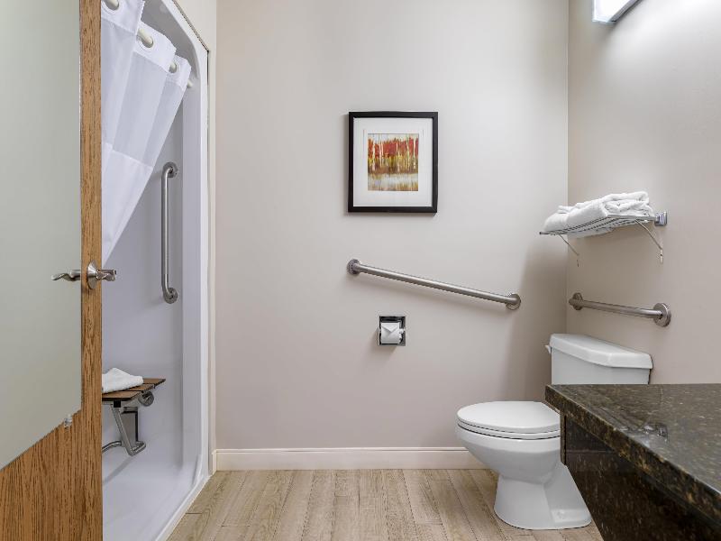 Best Western Plus Grand-Sault Hotel & Suites image