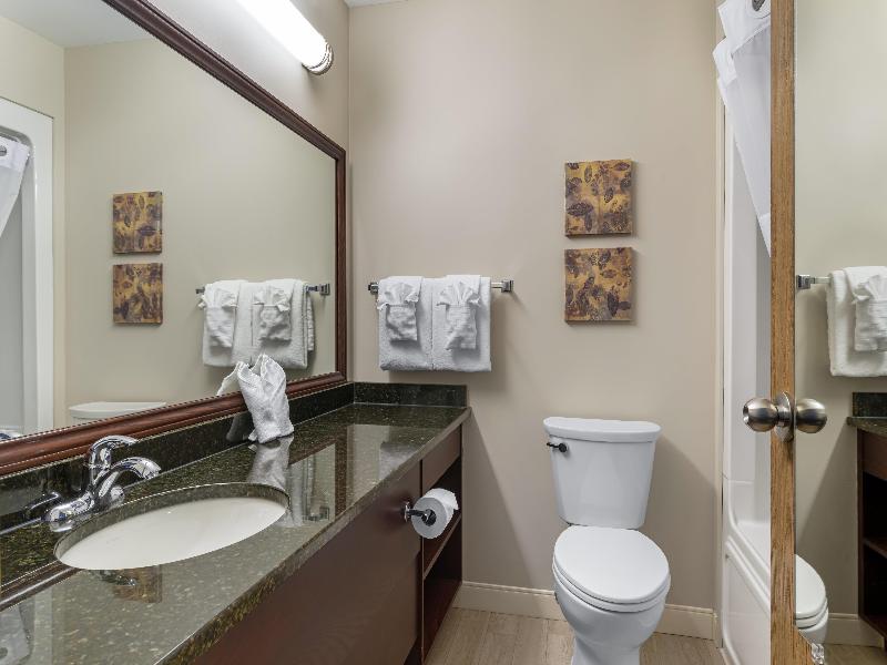 Best Western Plus Grand-Sault Hotel & Suites image