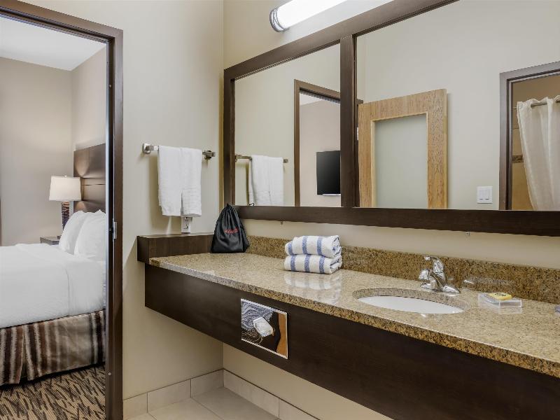 Best Western Plus Bridgewater Hotel & Convention C image