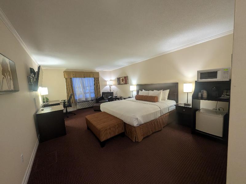 Best Western Swan Castle Inn image