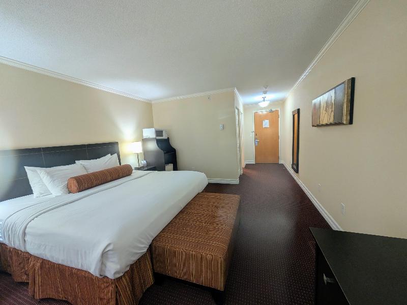 Best Western Swan Castle Inn image