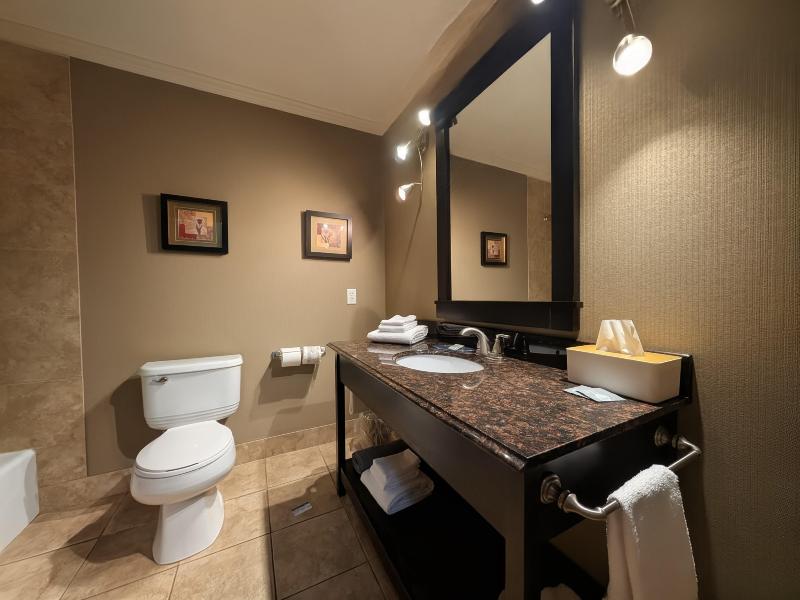 Best Western Swan Castle Inn image
