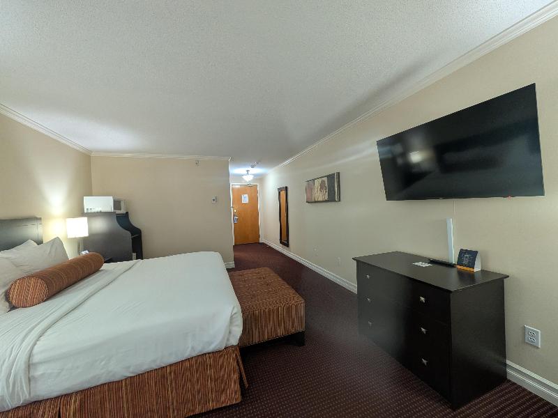 Best Western Swan Castle Inn image