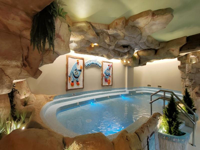 Aquashow Park Hotel image