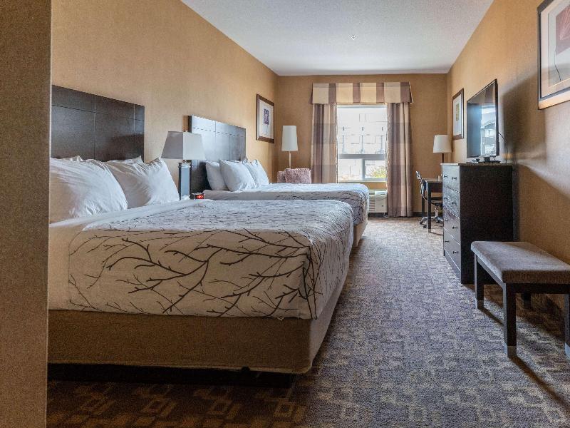 Best Western Plus South Edmonton Inn & Suites image