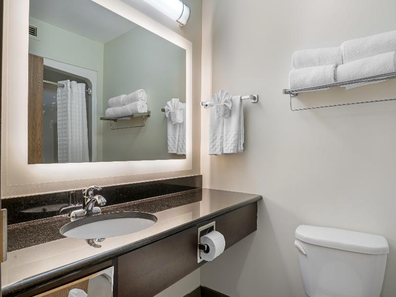 Best Western Plus Dartmouth Hotel & Suites image