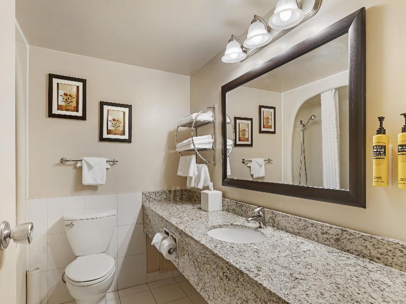 Best Western Plus Dryden Hotel & Conference Centre image