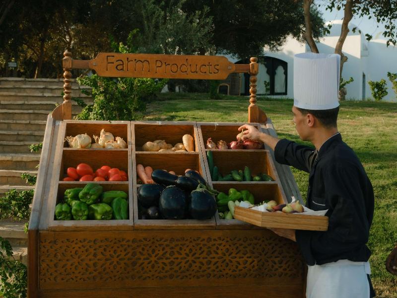 Mövenpick Sharm El Sheikh image