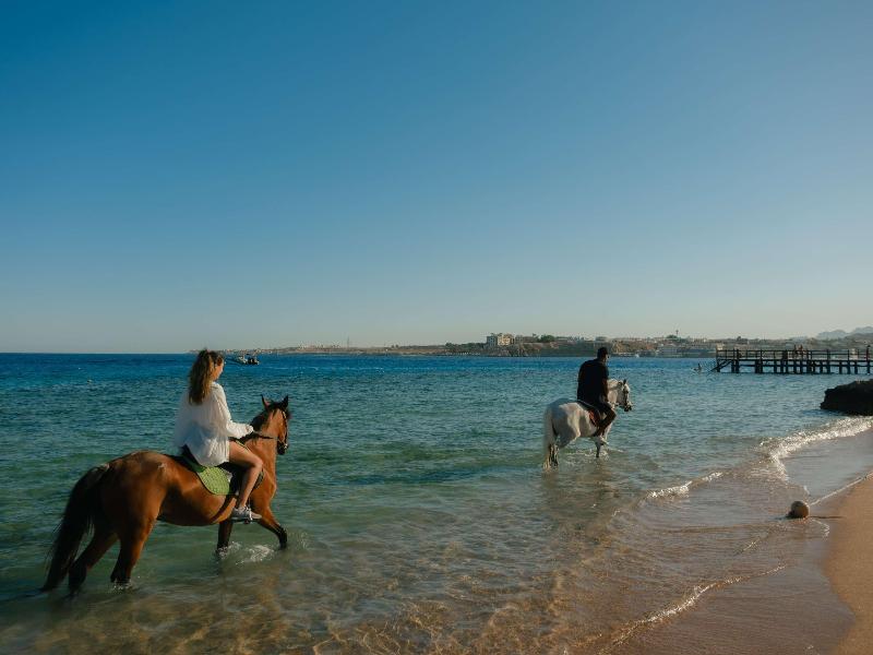 Mövenpick Sharm El Sheikh image