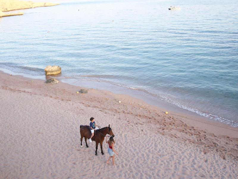 Mövenpick Sharm El Sheikh image