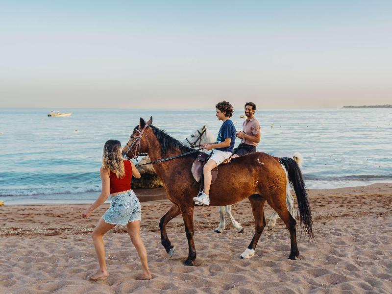 Mövenpick Sharm El Sheikh image
