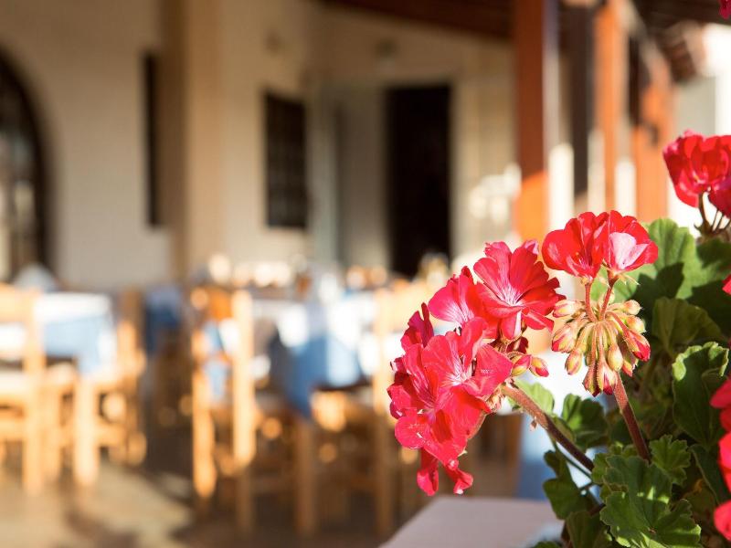 Albatros Hotel image