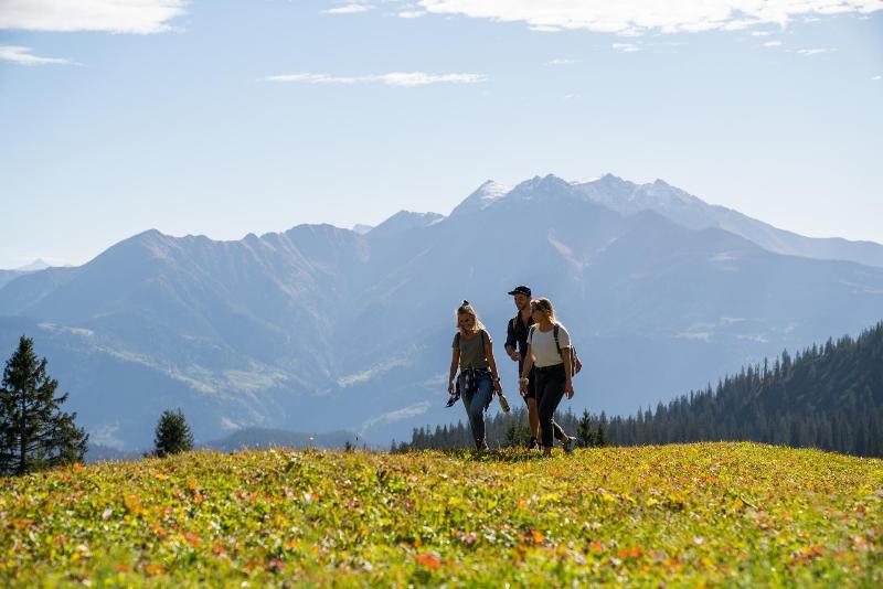 signinahotel - Alojamiento en Laax