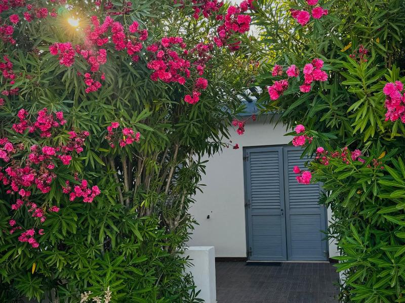 Baia Sangiorgio Hotel Resort image