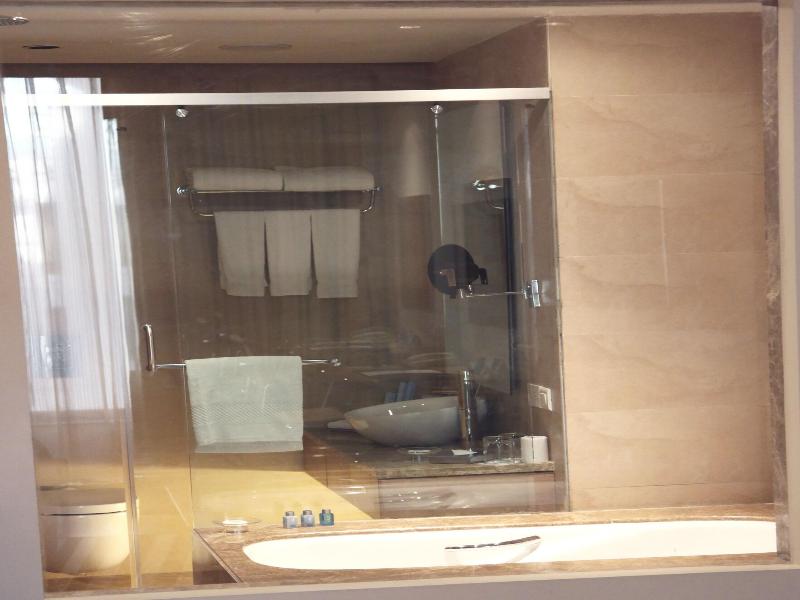 Radisson Blu Hotel New Delhi Dwarka image