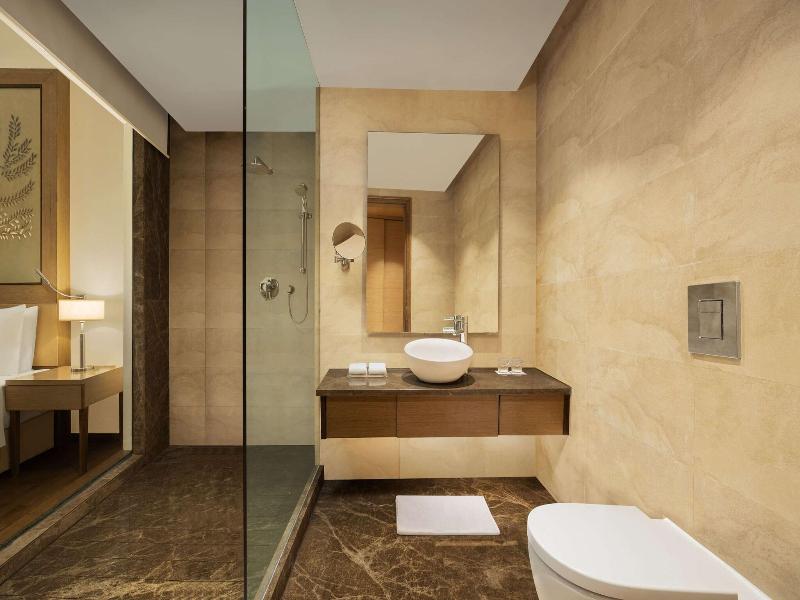 Radisson Blu Hotel New Delhi Dwarka image