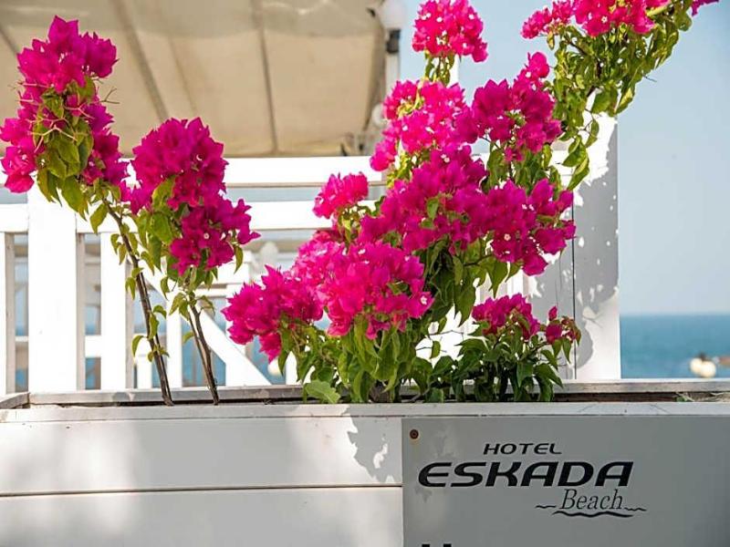 Eskada image