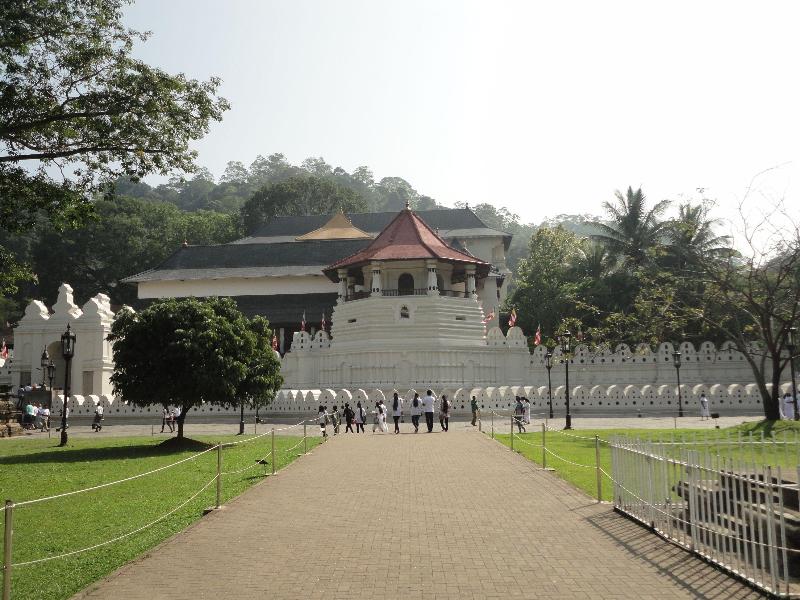 Forest Villa image