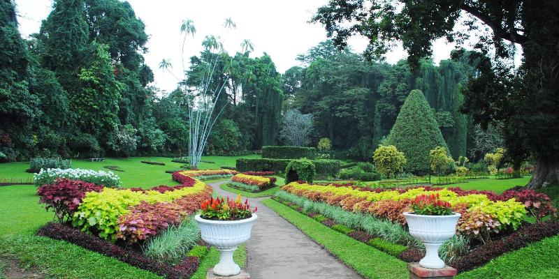 Forest Villa image