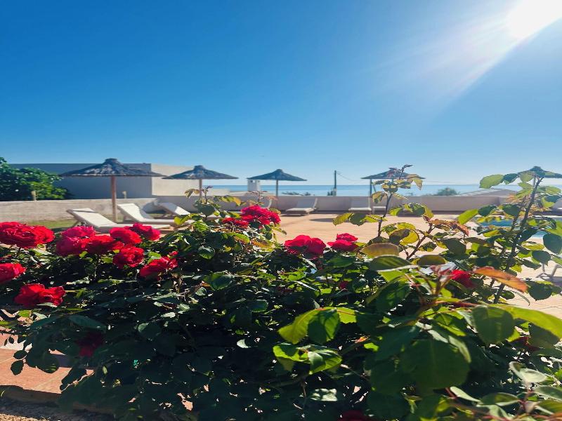 Chrysalis hotel image