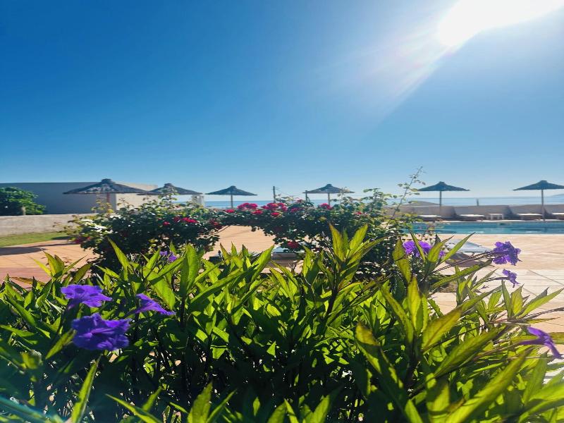 Chrysalis hotel image