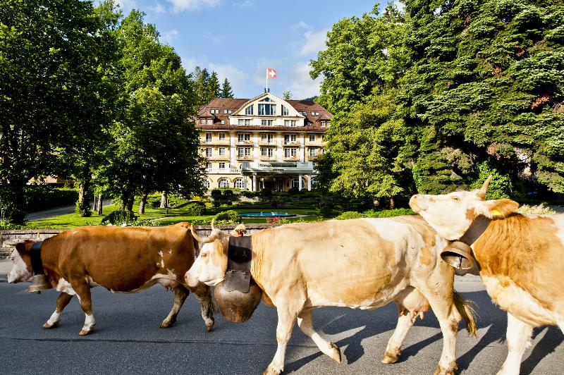 Le Grand Bellevue image