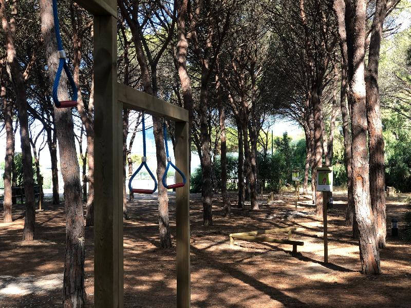 Corte Rosada Adults Only Affiliated by Meliá  image