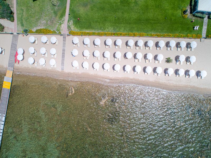 Corte Rosada Adults Only Affiliated by Meliá  image
