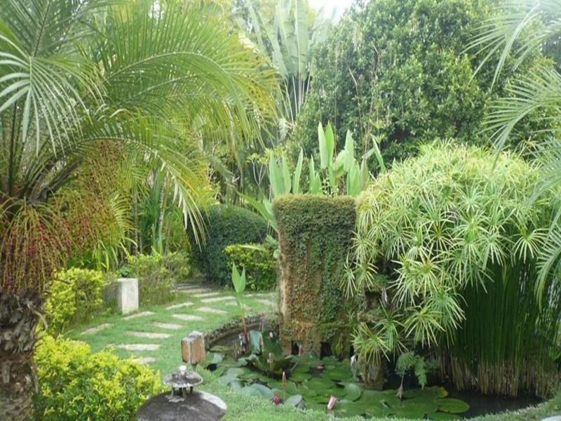 Gims Resort image