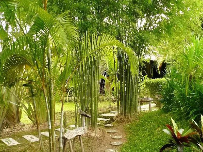 Gims Resort image