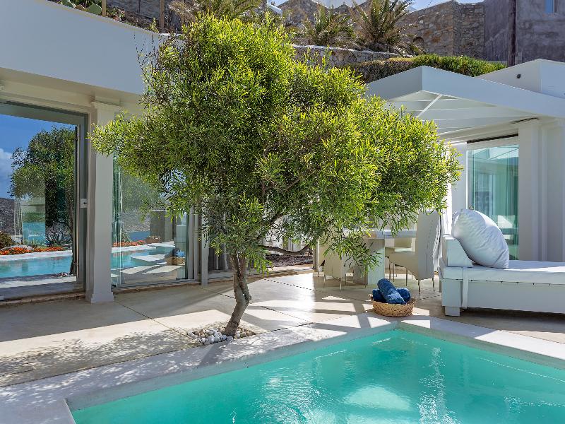 Greco Philia Elia Mykonos image