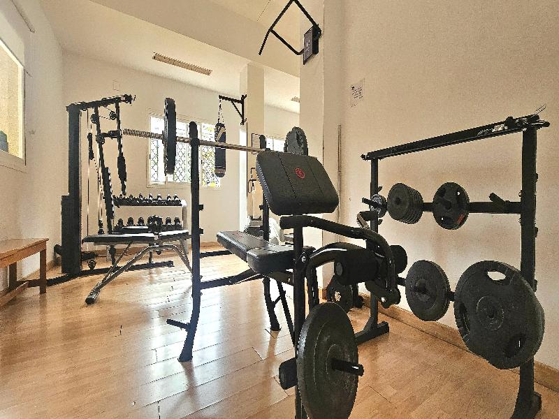 Residencia Universitaria  Alfil image