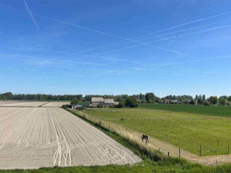Le Domaine du Mont - Vacanceole image