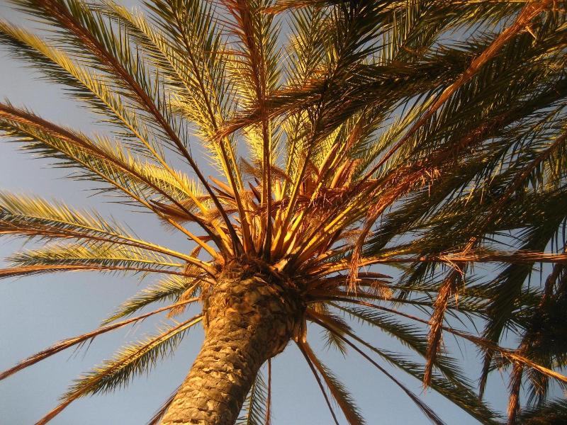 Birdcage Resort image